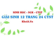 Giải Sinh 12 trang 24 Chân trời Sáng tạo